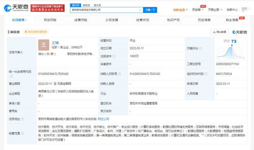 信息系統集成服務 數字化時代的核心驅動力